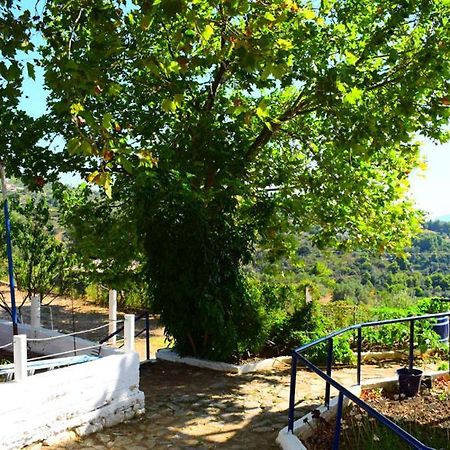 Rizos Veranda - Rooms Isomata Esterno foto