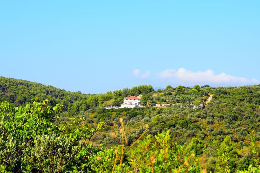 Rizos Veranda - Rooms Isomata Esterno foto